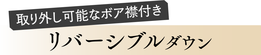 リバーシブルダウン